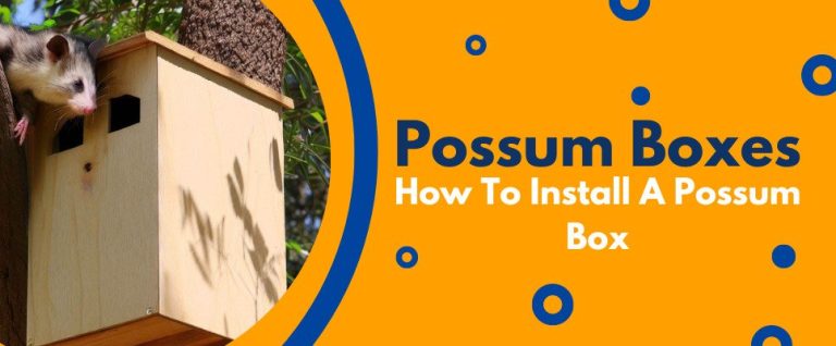 How To Install A Possum Box